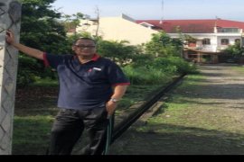 Harga CPO turun karena dipicu produksi yang banyak