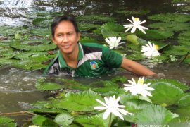 Komunitas Teratai Banjarmasin buat percontohan kawasan teratai