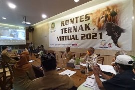 Kontes ternak secara virtual, cara Pemkab Banyuwangi motivasi peternak di masa pandemi COVID-19