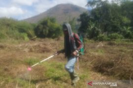 Petani muda dan Distan Garut kolaborasi tanam jagung di lahan 8 hektare