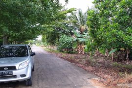 Memacu ekowisata tingkatkan ekonomi dan kelestarian alam