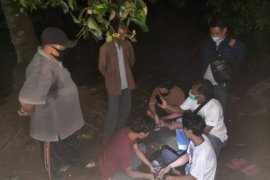 Diduga edarkan ganja, tiga petani di Pasaman Barat ditangkap polisi