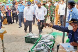 Menteri KKP lihat potensi sektor perikanan dan rumput laut Tual