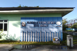 96 calon direksi tiga perumda Kota Medan ikuti penilaian di USU