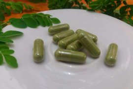 Ekspor olahan daun kelor Terdampak pandemi di Aceh Jaya