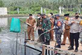 Facilitate Kotabaru fish farmers: Regent