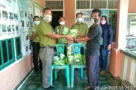 Naikkan pendapatan petani di Desa Proklim, RAPP bantu bibit hotikultura