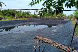 Pemprov Sumbar dorong Pemda revisi aturan tata ruang