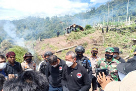Polri musnahkan 7 Ha ladang ganja di Gunung Lauser dan sita 592 Kg ganja kering