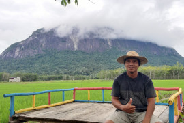 Sawah Amos, tempat strategis untuk menikmati pesona Bukit Kelam di Sintang