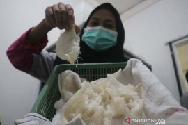 Sentral sarang walet Lombok Tengah difungsikan
