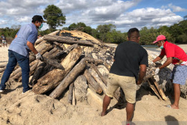 Nelayan di Sumba Tengah lakukan ritual adat bakar paus, begini penjelasannya
