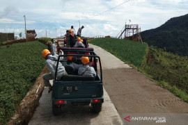 Polres Batang minta jalur Bawang-Dieng dipasang pagar  pengaman