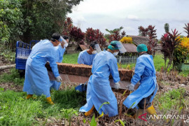 Dua pasien COVID-19 Batola meninggal dunia