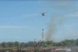 Dua helikopter dikerahkan ke lokasi karhutla di Riau