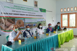 IPB rancang pemetaan rantai nilai komoditas singkong