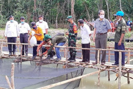 Pemkab Musi Banyuasin garap potensi  perikanan desa