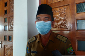 Presiden kurban sapi seberat 780 kilogram di Bengkulu