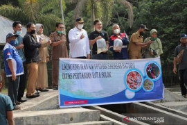 UPTD BBI Kota Solok rintis budidaya ikan  koi tingkatkan ekonomi warga
