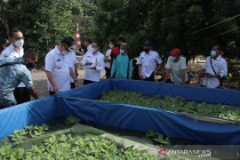 Hasil produksi ikan tangkap dan budidaya HSS capai 21.340 ton