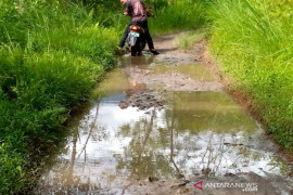 Lima KM dari ibukota Madina, Desa ini belum teraliri listrik