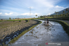 Inovasi Kolaboratif Sawah Tadah Hujan Page 1 Small