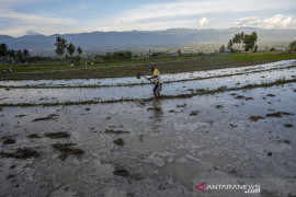 Inovasi Kolaboratif Sawah Tadah Hujan Page 2 Small