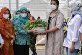 Kahiyang resmikan rumah kaca hidroponik di Johor