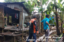 Pohon tumbang akibatkan satu rumah warga rusak