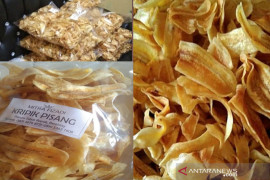 Ini 5 camilan khas Indonesia untuk temani WFH