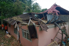 Tiga rumah tertimpa pohon  durian di Agam, seorang warga mengalami luka