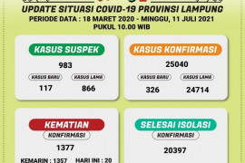 Dinkes: Positif COVID-19 di Lampung  tambah 326 total 25.040 kasus