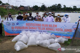 BKIPM Jambi tebar 20.000 benih ikan nilem ke Danau Teluk Kenali