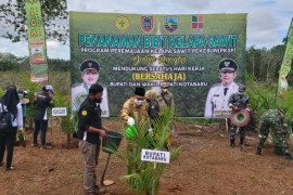 Bupati Kotabaru dorong petani terapkan praktek kelapa sawit berkelanjutan