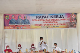 Serdang Bedagai dorong Dekranasda tingkatkan promosi produk UMKM