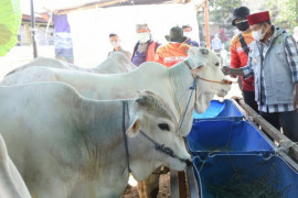Wagub Jawa Barat apresiasi sistem daring di pasar hewan Cimahi