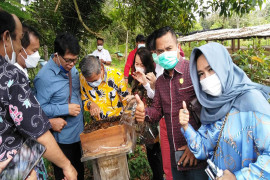 UPT-KPHP Katingan diminta bimbing warga membudidayakan Madu Kelulut