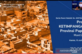 BPS:Tingkat ketimpangan pengeluaran penduduk di Papua tercatat 0,397