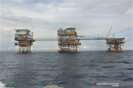 Government will never abandon upstream oil, gas industry: Minister