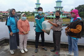 DKPPP Barsel tebar 20 ribu bibit ikan di perairan Desa Pamait
