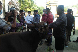 DPRD Maluku serahkan hewan kurban ke Masjid Al Fatah Ambon, begini penjelasannya