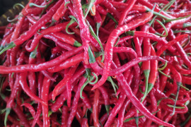 Jelang Idul Adha harga cabai naik jadi Rp45.000/Kg