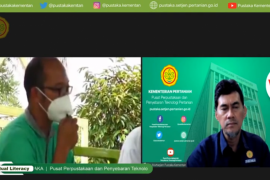 Gunakan teknologi UHDP tingkatkan produktivitas mangga, kata pakar