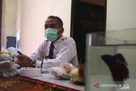 Di masa pandemi COVID-19 permintaan hewan kurban di Tapin menurun