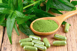 Bahan alami spearmint dinilai berpotensi dukung fungsi kognitif