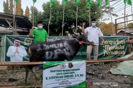 Video-Berkurban merawat persatuan, PPP programkan bantuan 100 ekor sapi