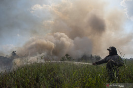 Ratusan Lahan di Indralaya Utara Terbakar Page 3 Small