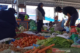 Harga cabai merah di Subulussalam naik drastis