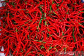 Jelang Idul Adha, harga sejumlah komoditas di Madina merangkak naik