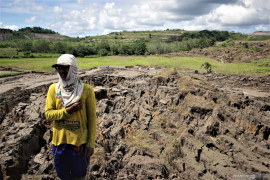DLH Tapin belum bisa pastikan penyebab tanah bergerak yang hancurkan lahan pertanian